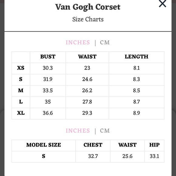 NWT Lacemade Van Gogh Sunflower Corset in XL - Picture 7 of 11